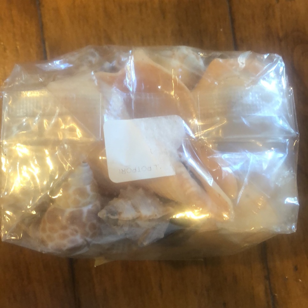 Shells- Decorative Pack - Picture 5 of 6